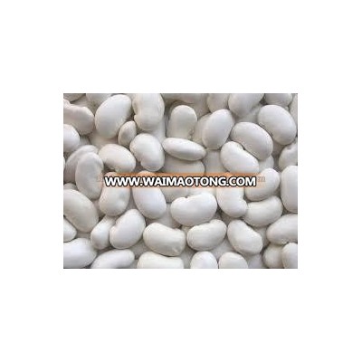 white kidney beans / butter bean / white bean